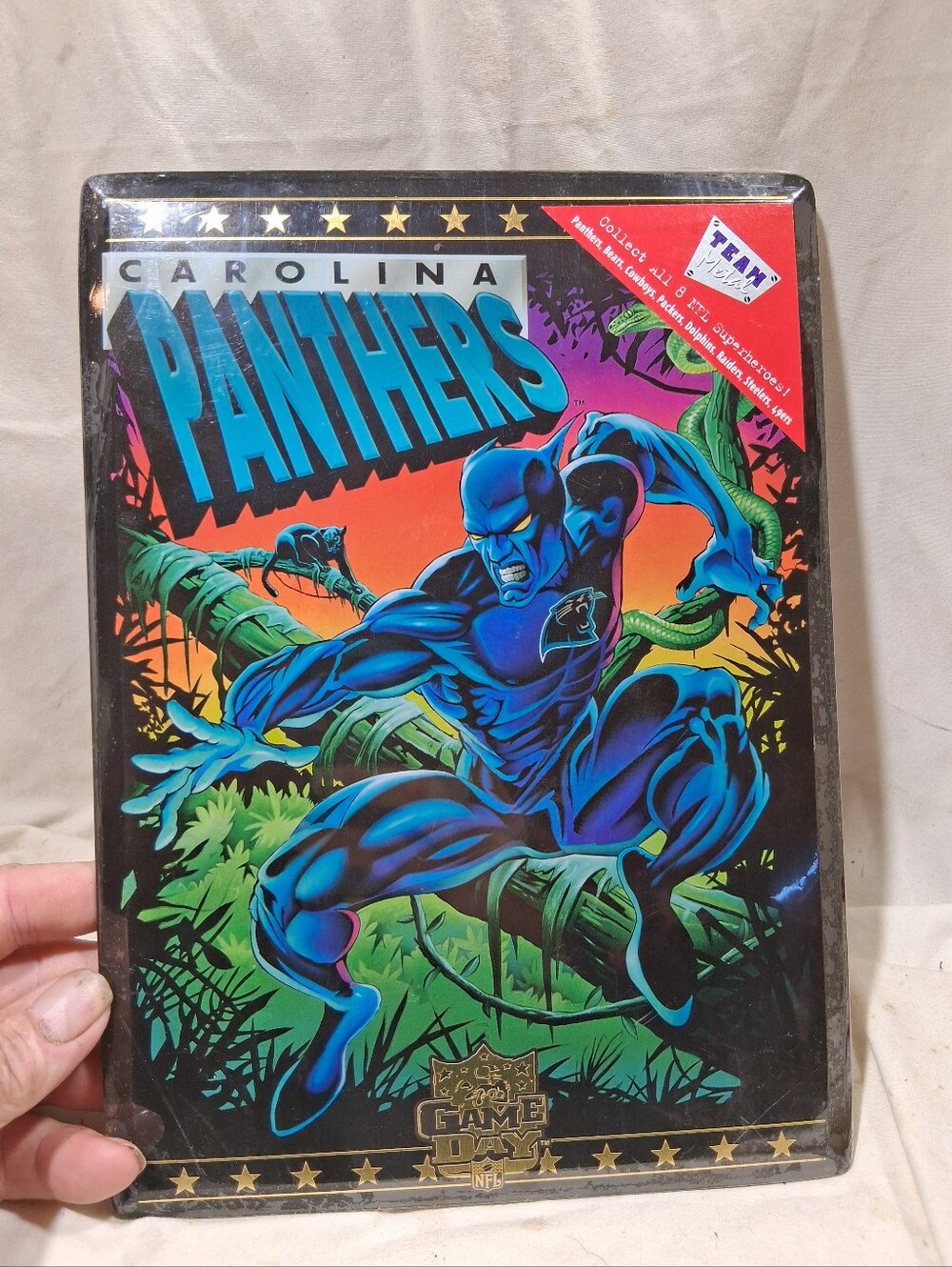 Vintage Carolina Panthers collective metal sign
